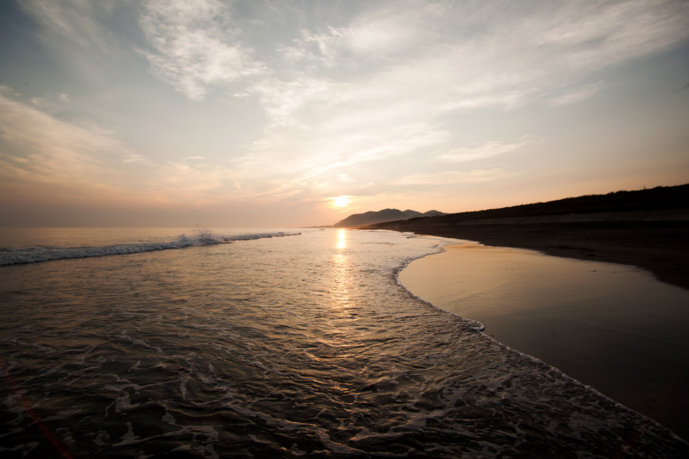 IMG_2121_平砂浦20150624_2